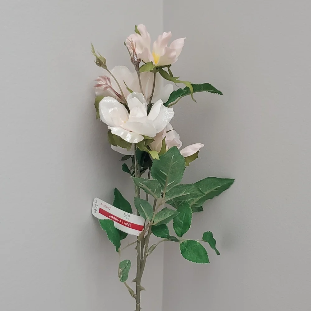 ASSORTED LONG STEM FLOWERS